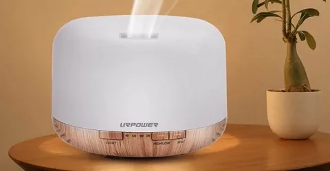 Natural Oil Diffuser for Sleep: Which Scents Actually Help?
